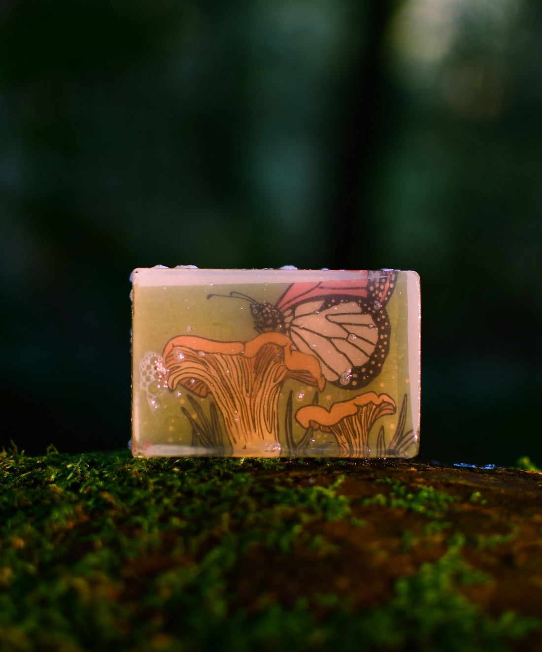 Print Soap Collaboration: Karen Blanquart & Non-profit Ffungi-Sea Witch Botanicals