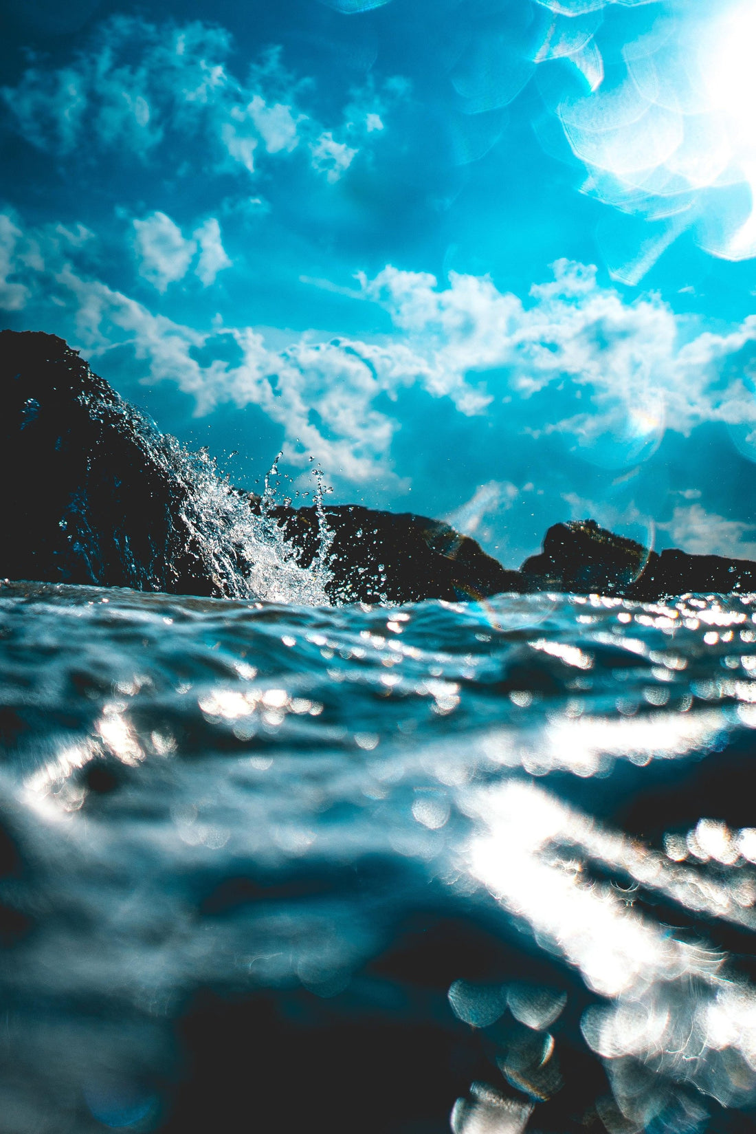 Five Plants for Pisces Season Magic-Sea Witch Botanicals