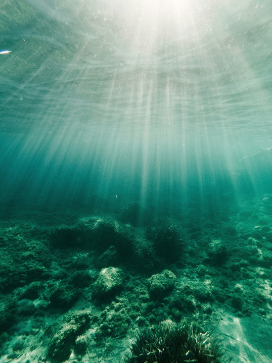 A view underwater of green water with white sunrays coming through.