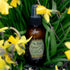 Ostara Scented Veil Room Spray