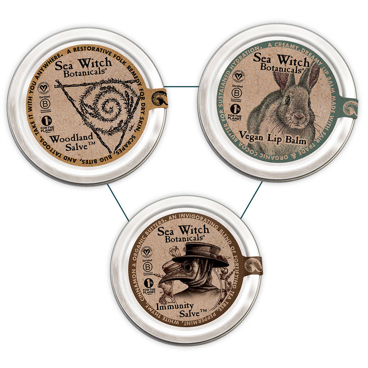Pocket essentials gift set with vegan lip balm, immunity salve, and woodland salve