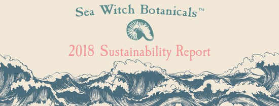 The Importance of Sustainability Reporting-Sea Witch Botanicals