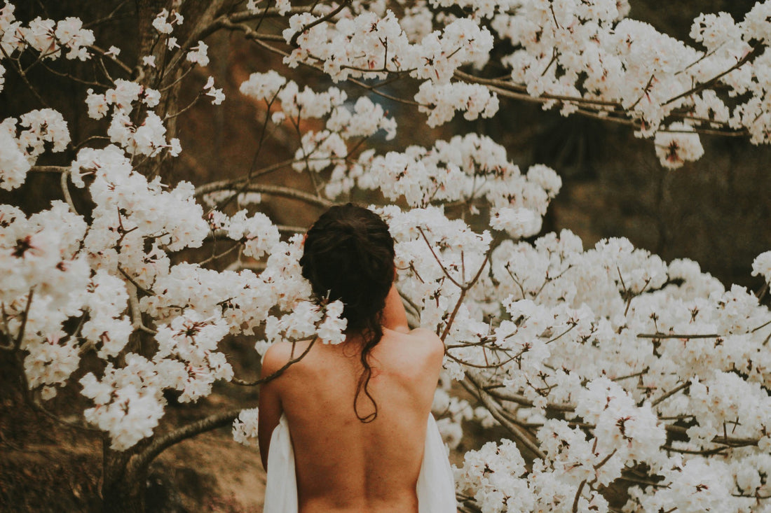 Person facing away from camera holding a towel surrounded by white cherry blossoms