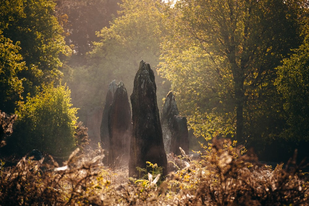 Celtic menhirs in primitive French mystic forest