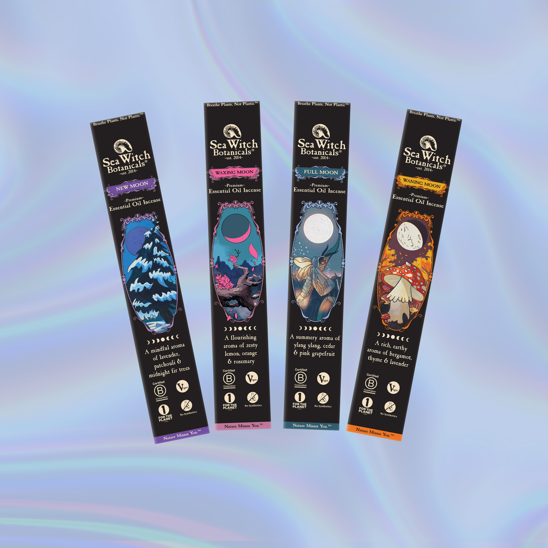 Moon Phase Collection