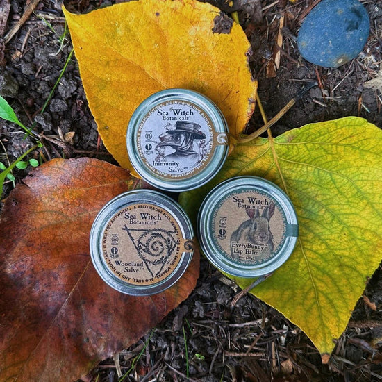 Pocket Essentials Gift Set- Immunity Salve, Vegan Lip Balm, Woodland Salve