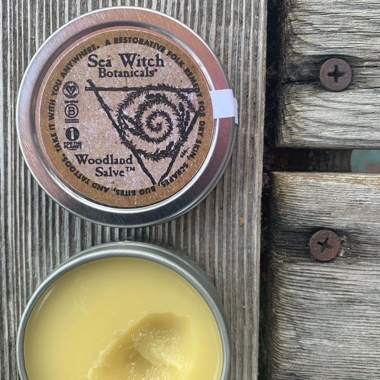 Woodland Salve™ - A Healing Folk Remedy-Folk Remedy-Sea Witch Botanicals-25g tin-Sea Witch Botanicals